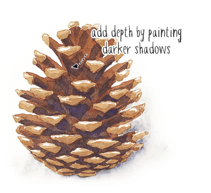 add-depth-to-the-pine-cones