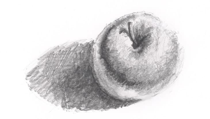 apple-value-study-monochrome-sketch apple value study monochrome pencil sketch