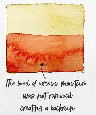 backruns-and-blooms backruns and blooms