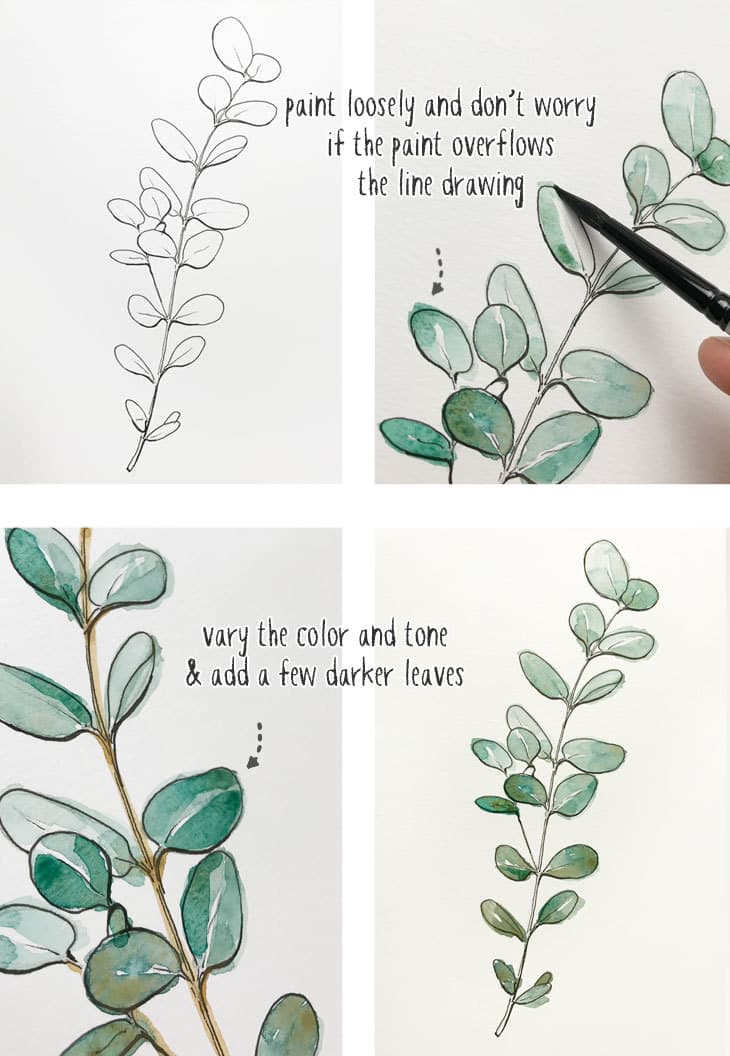 beginners-line-and-wash-eucalyptus-painting beginners line and wash eucalyptus painting