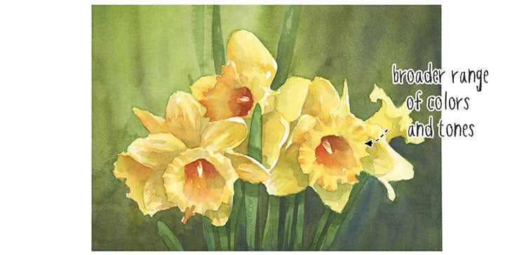 daffodils-finished-watercolor
