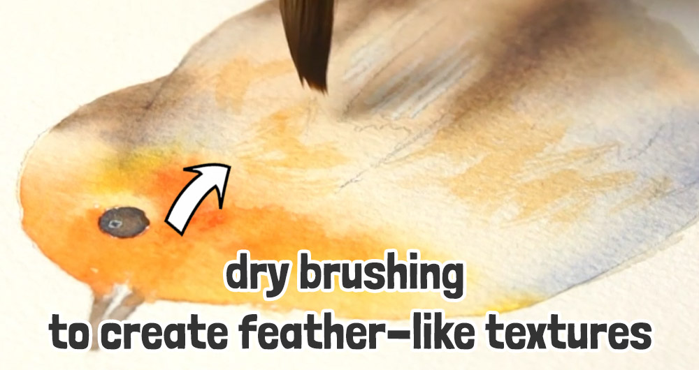 feather textures using dry brushing