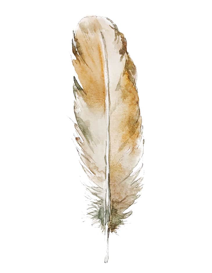 easy-watercolor-feather easy watercolor feather