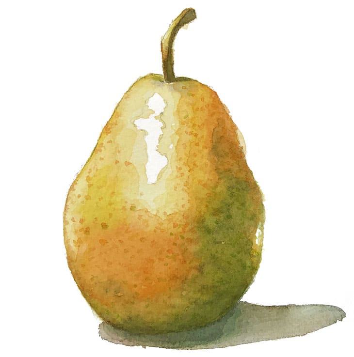 easy-watercolor-pear-painting easy watercolor pear