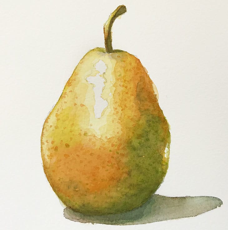final-watercolor-pear-painting final watercolor pear painting