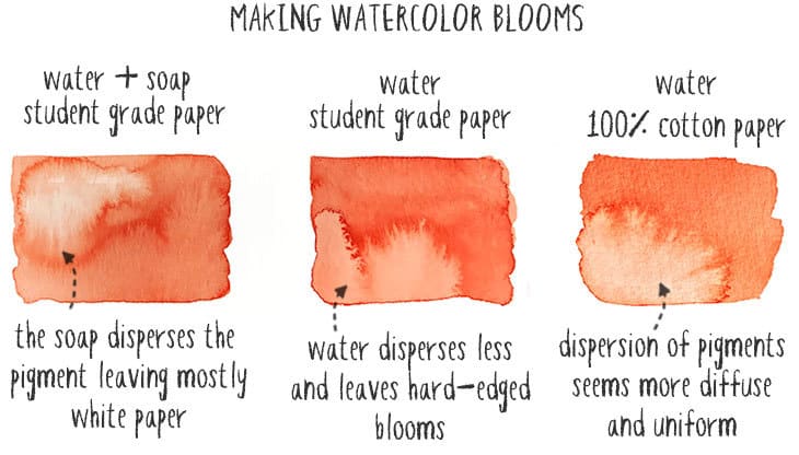 how-to-make-watercolor-blooms how to make watercolor blooms