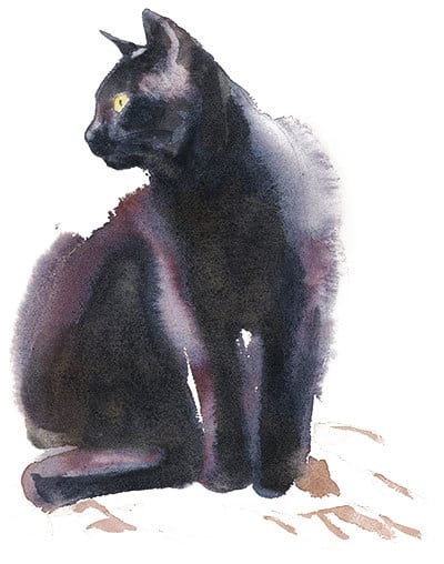 is-watercolor-toxic-to-cats-and-dogs is watercolor toxic to cats