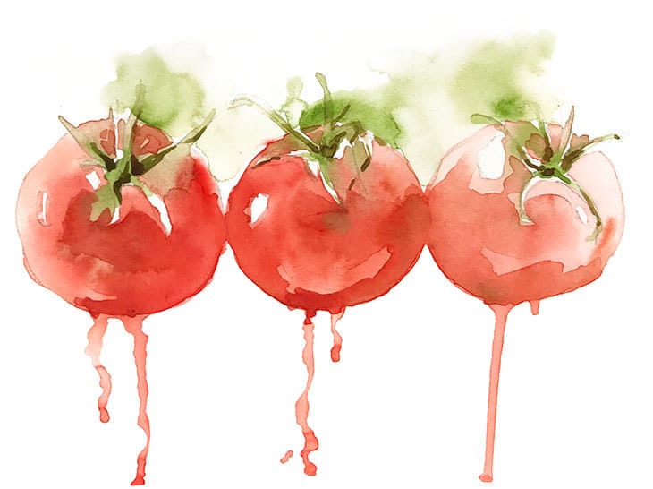 loose-watercolor-sketch-3-tomatoes loose watercolor sketch