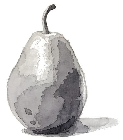 pear-value-study watercolor value study of a pear