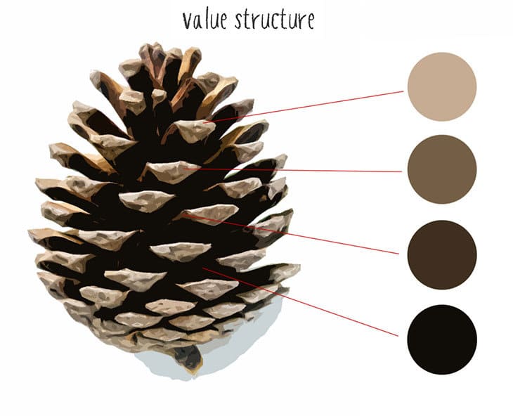 pine-cone-value-structure pine cone value structure