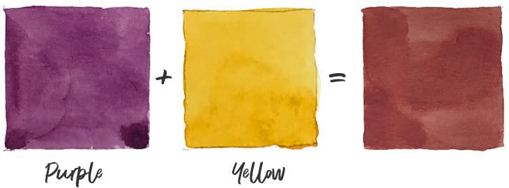 purple-and-yellow purple and yellow