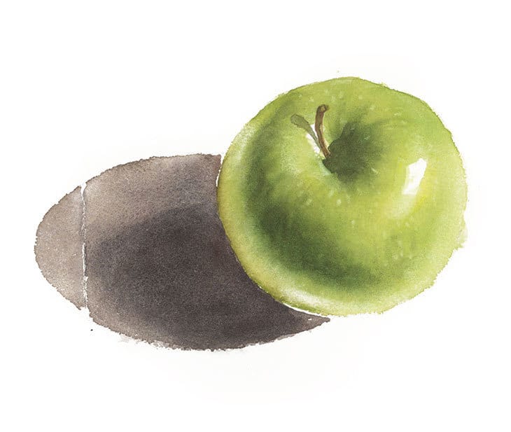 realistic-apple-watercolor-painting realistic apple watercolor painting