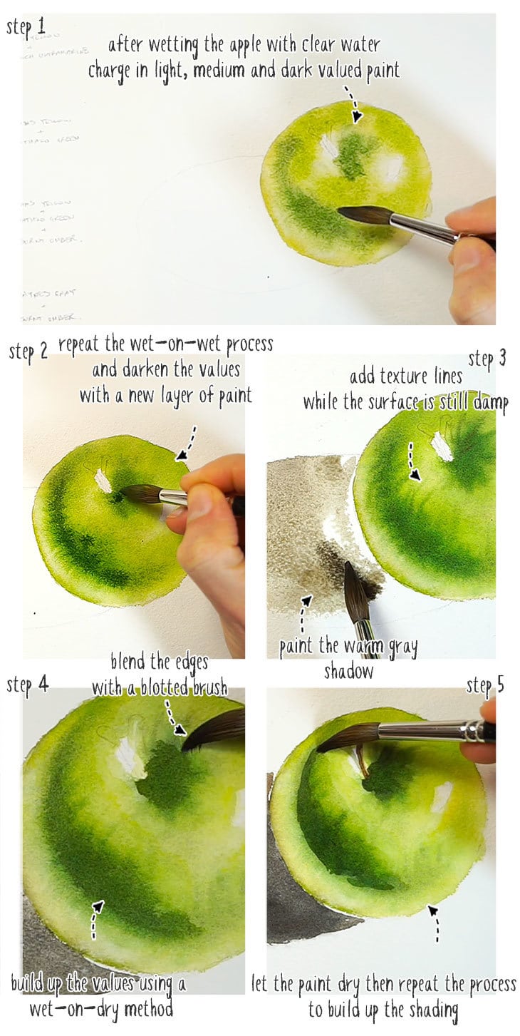 realistic-watercolor-step-by-step-01 realistic watercolor step by step part 1
