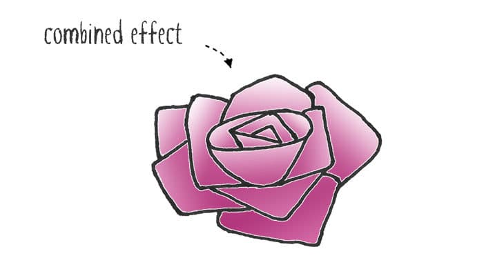 rose-combined-lighting