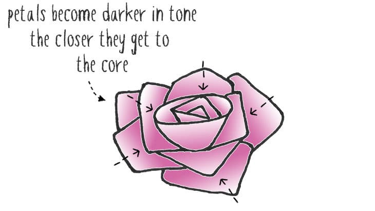 rose-lighting-on-indivudual-petals