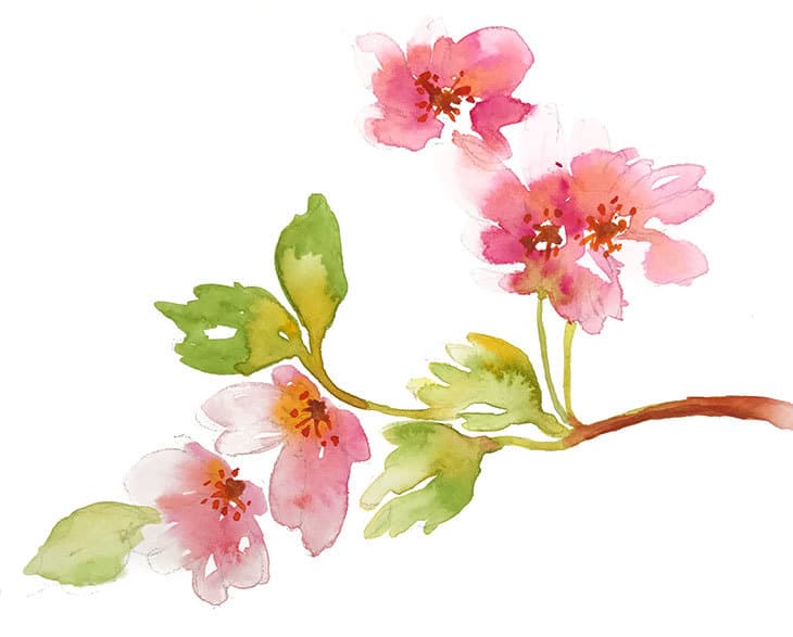 simple-watercolor-sketch simple watercolor sketch composition