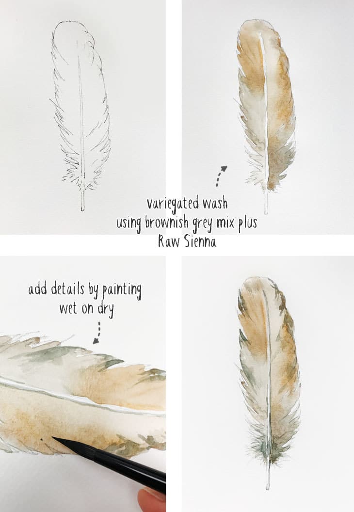 simple-watercolor-still-life