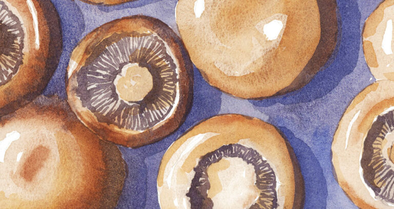 Simplifying Watercolor for Beginners (8 Simple Tips)