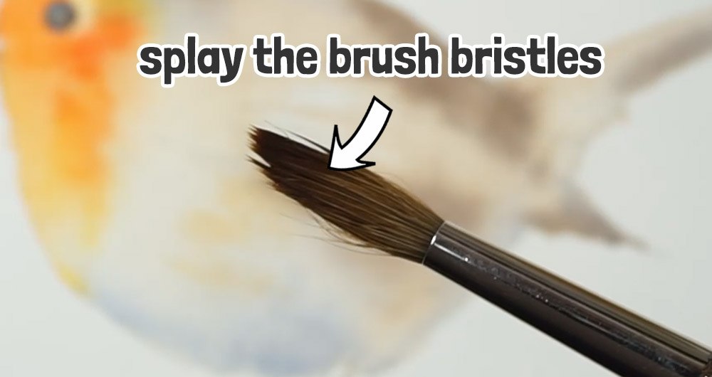 splaying bristles for dry brushing