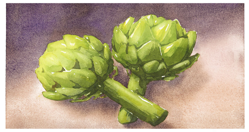 step by step watercolor artichoke