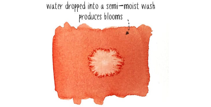 water-dropped-into-drying-wash water dropped into a drying wash