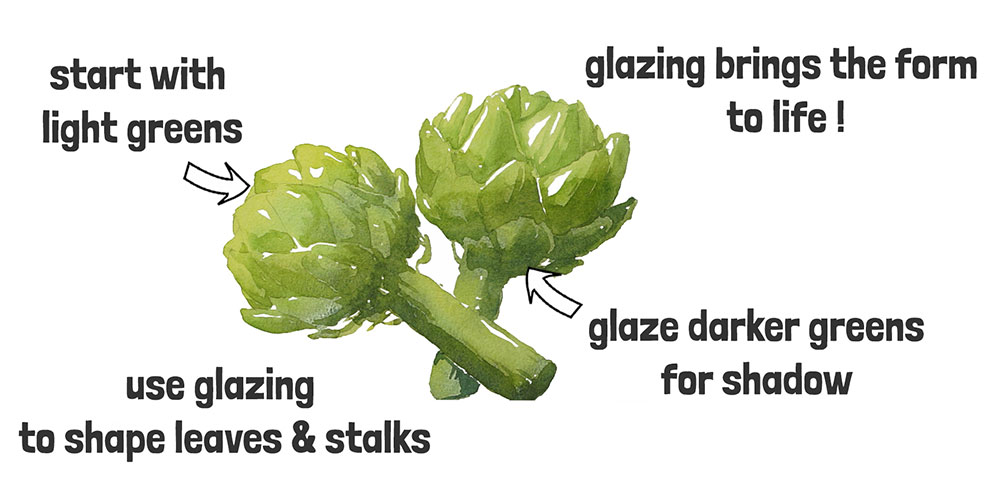 watercolor artichoke step 2