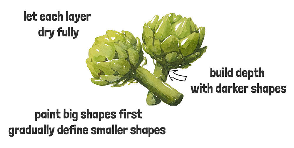 watercolor artichoke step 3