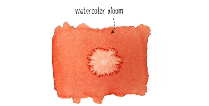 watercolor-bloom a watercolor bloom