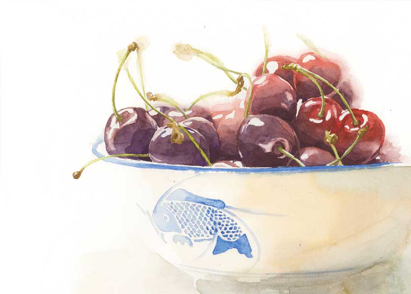 watercolor-cherries-final-painting watercolor cherries final painting