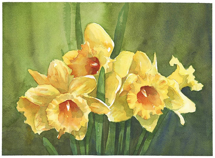 watercolor-daffodils-composition watercolor daffodils composition