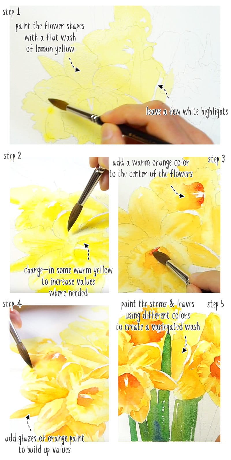 watercolor-daffodils-step-by-step-01 watercolor daffodils step by step tutorial stage 01