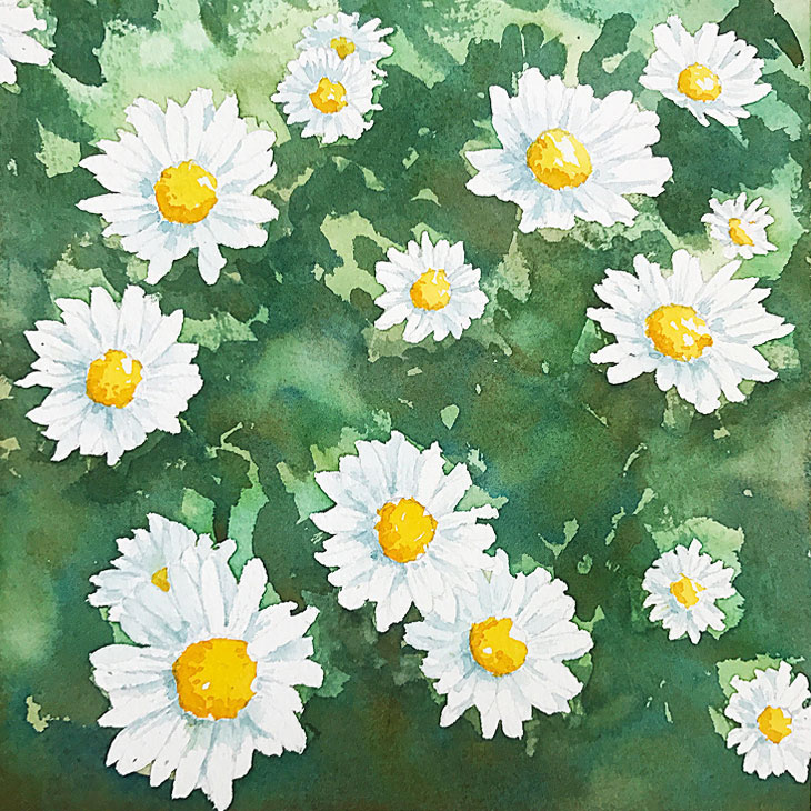 watercolor-daisy-painting watercolor daisy painting