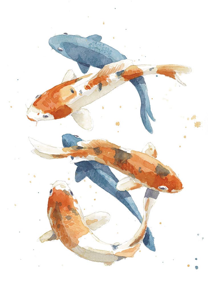 watercolor-koi-fish-painting watercolor koi fish painting
