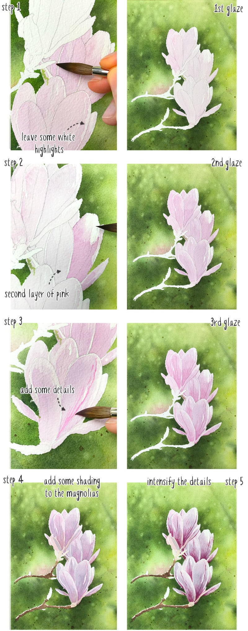 watercolor-magnolia-wet-on-dry-flowers-step-by-step watercolor magnolia wet on dry flowers step by step