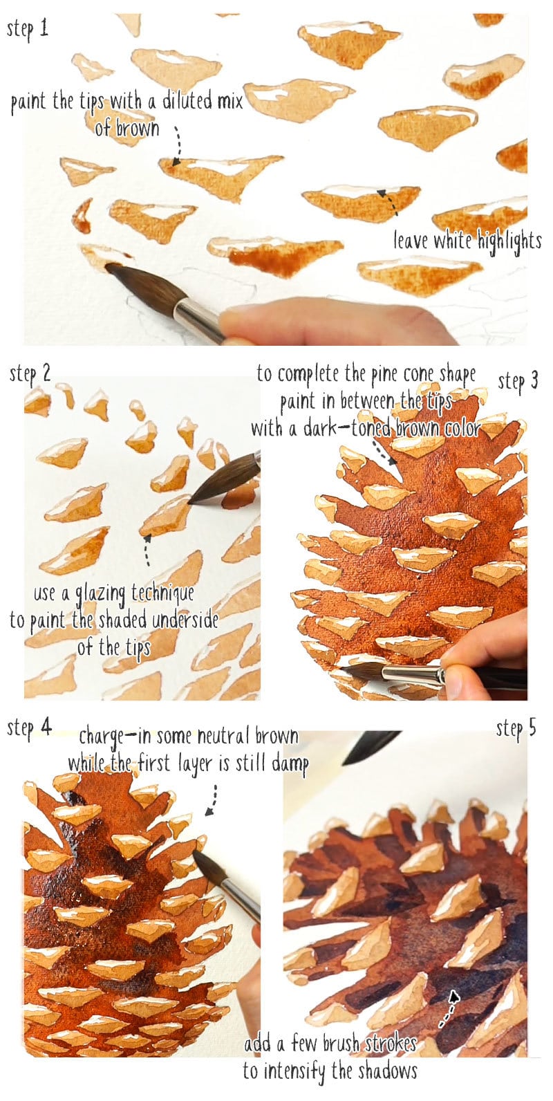 watercolor-pine-cones-step-by-step-01 step by step watercolor pine cones painting