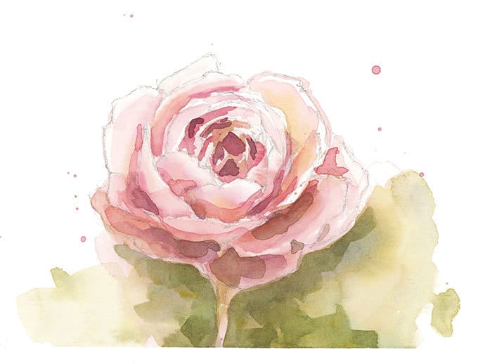 watercolor-rose-sketch-sm watercolor sketch of a rose