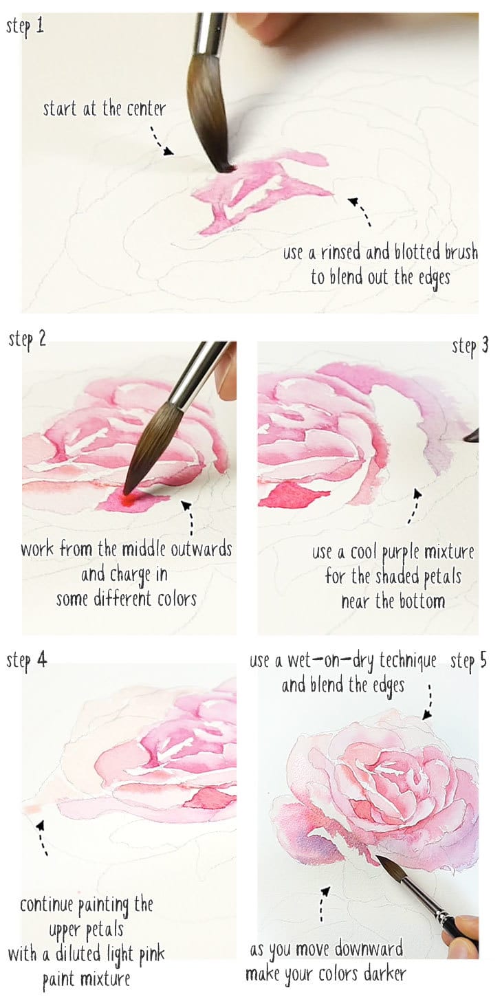 watercolor-rose-step-by-step-01 watercolor rose step by step stage 01