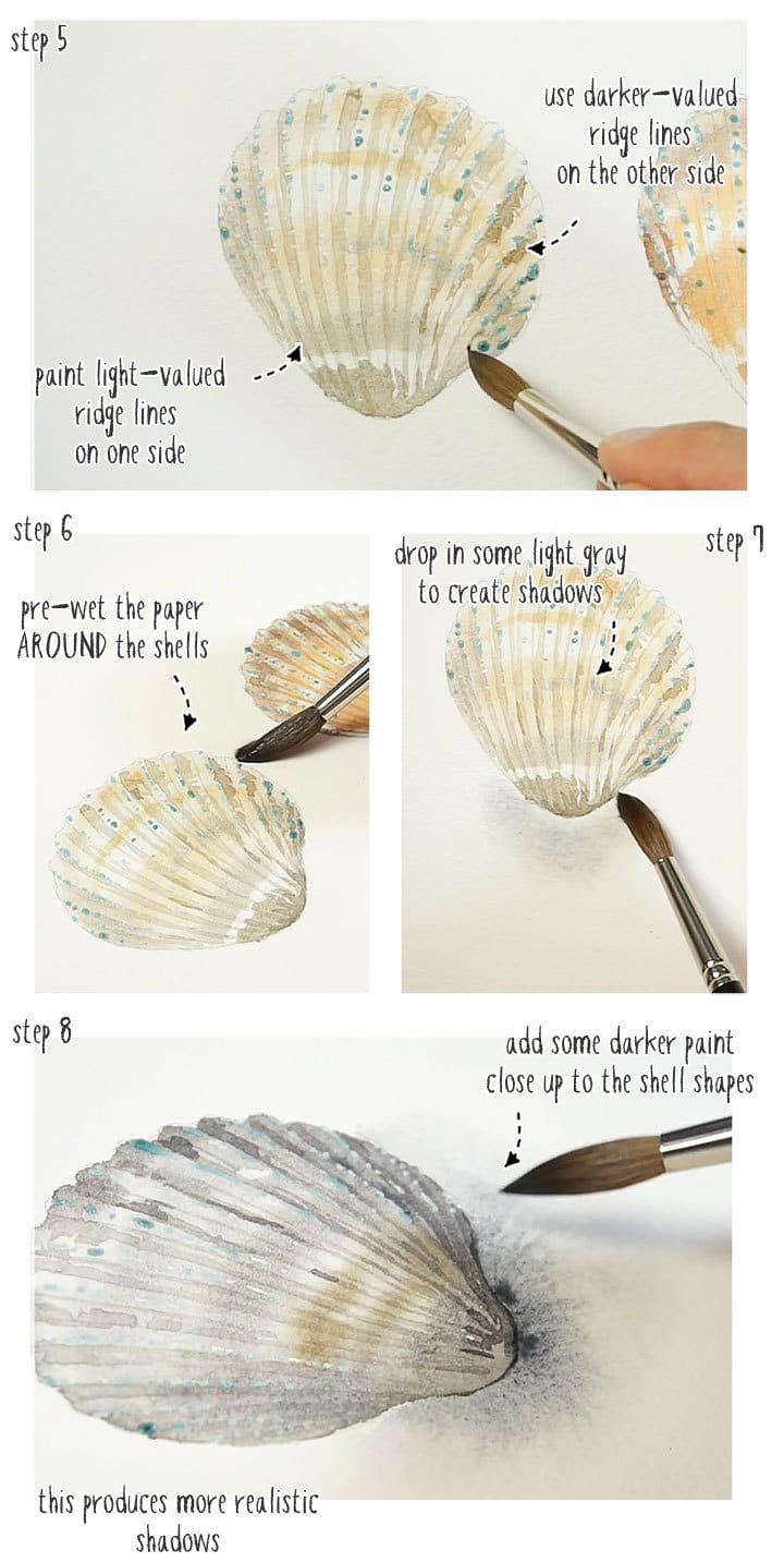 watercolor-seashells-step-by-step-02 watercolor shells step by step stage 2