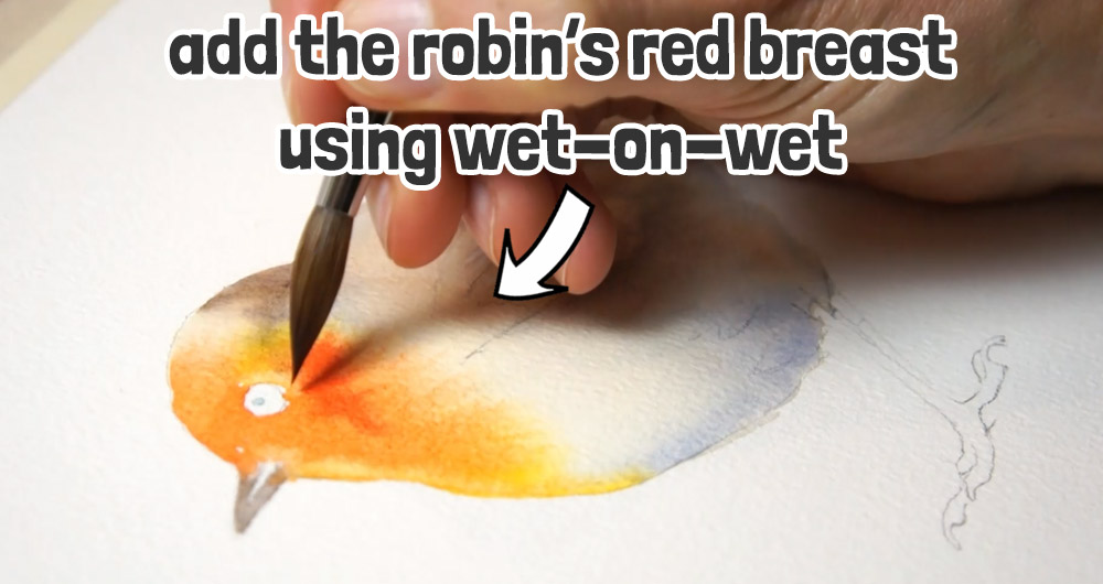 wet on wet for the robins red breast