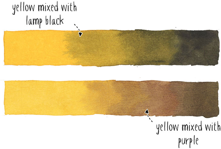 yellow-and-purple-sm